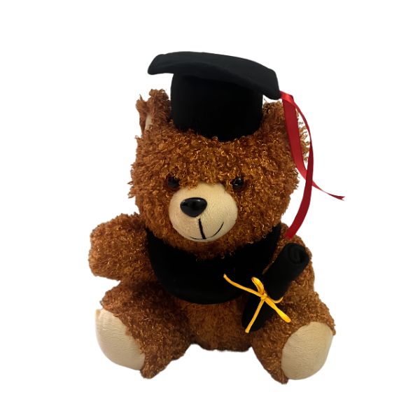 Graduation Bear